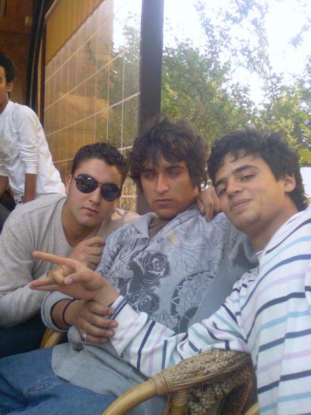 vive friends