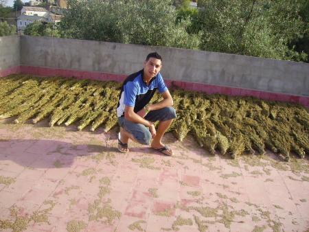 c mon cousin a belad
